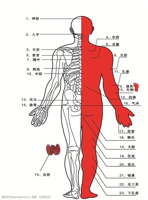 身體右邊